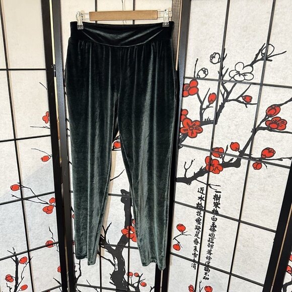 Victoria's Secret Pants - Victorias Secret Pants Women Size XS Velour Velvet Pants Dark Green Slim Leg